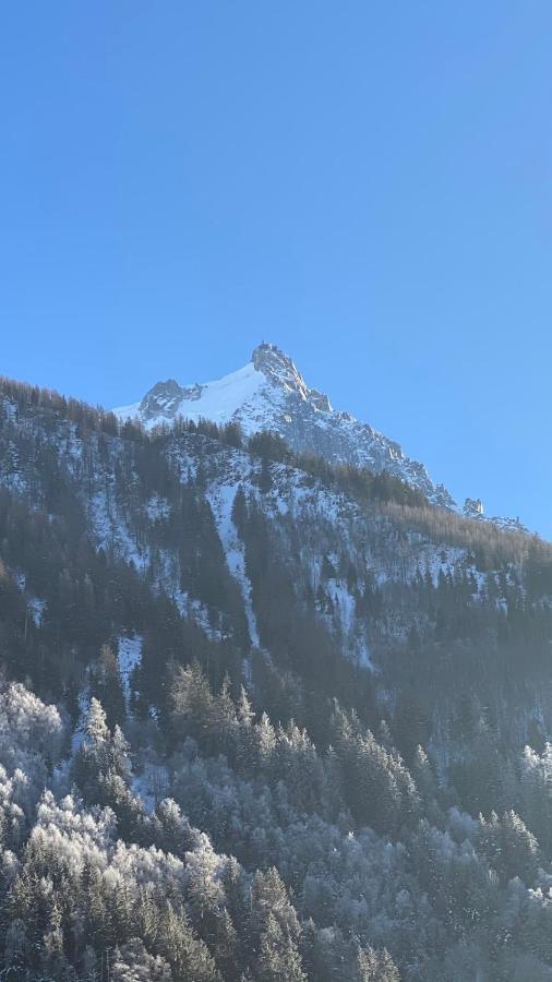 Chamois De Chamonix, Confortable 2 Pieces, Balcon, Parking Gratuit エクステリア 写真
